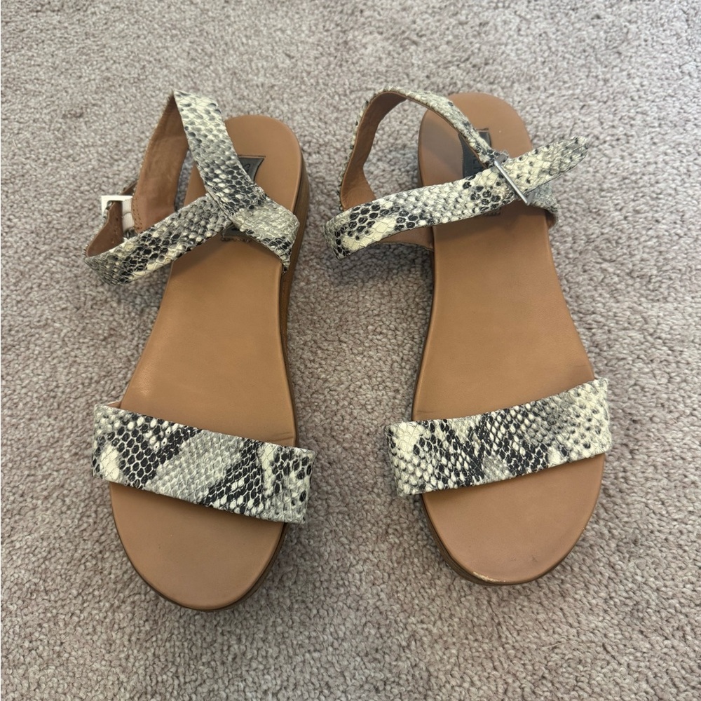 Steve Madden Snakeskin Women's Sandals